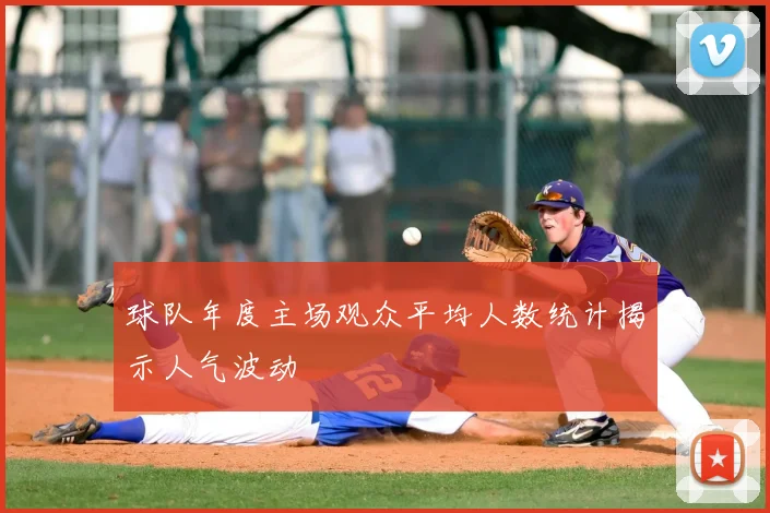 球队年度主场观众平均人数统计揭示人气波动