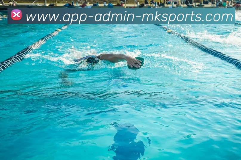 App Interface Preview