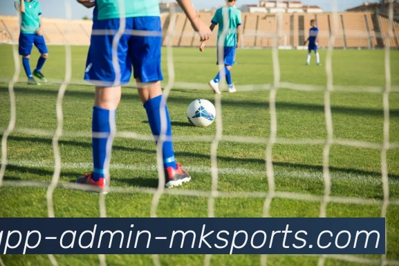 MK体育APPAPP 封面图